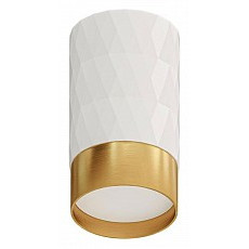 Накладной светильник arte lamp fang...